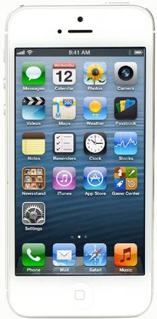 Смартфон Apple iPhone 5 32Gb White & Silver - Богородицк
